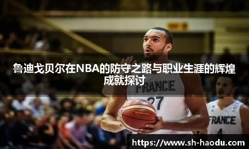 鲁迪戈贝尔在NBA的防守之路与职业生涯的辉煌成就探讨