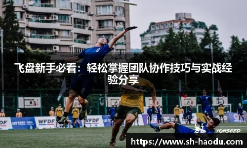 飞盘新手必看：轻松掌握团队协作技巧与实战经验分享