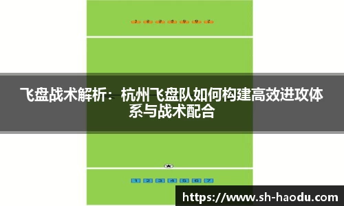 飞盘战术解析：杭州飞盘队如何构建高效进攻体系与战术配合